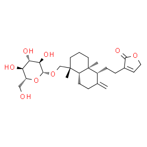 新穿心蓮內(nèi)酯