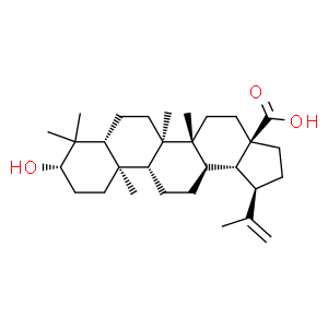 表白樺脂酸