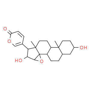 去乙酰華蟾毒精