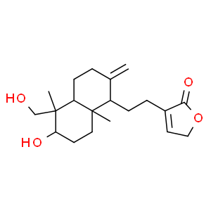 14-去氧穿心蓮內(nèi)酯