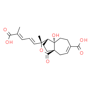 脫甲氧基脫乙酰土槿皮乙酸