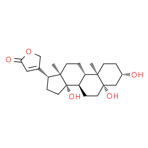 杠柳苷元;杠柳毒苷元;無杠柳毒苷苷元