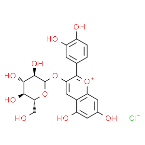 矢車菊素-3-O-葡萄糖苷;花青素