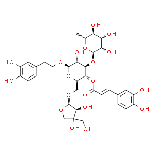 連翹酯苷B