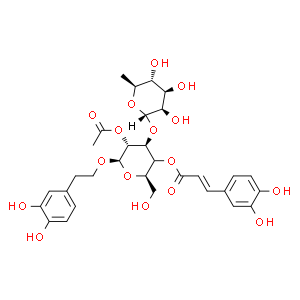 2'-乙酰毛蕊花糖苷