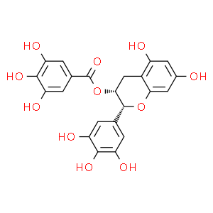 表沒(méi)食子兒茶素沒(méi)食子酸酯
